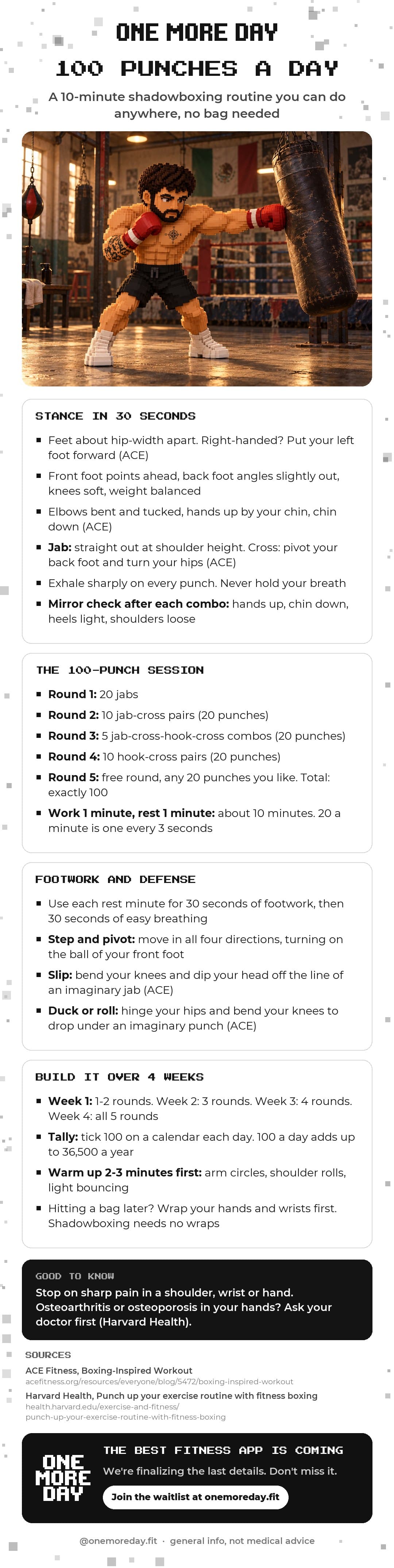 100 Punches A Day