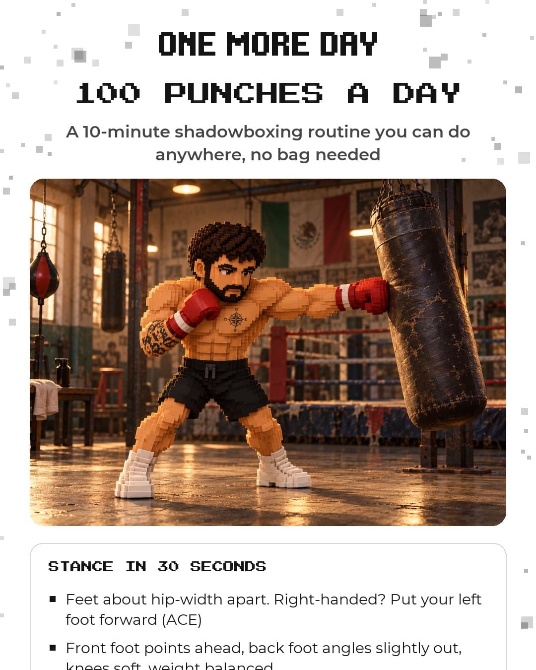 100 Punches A Day